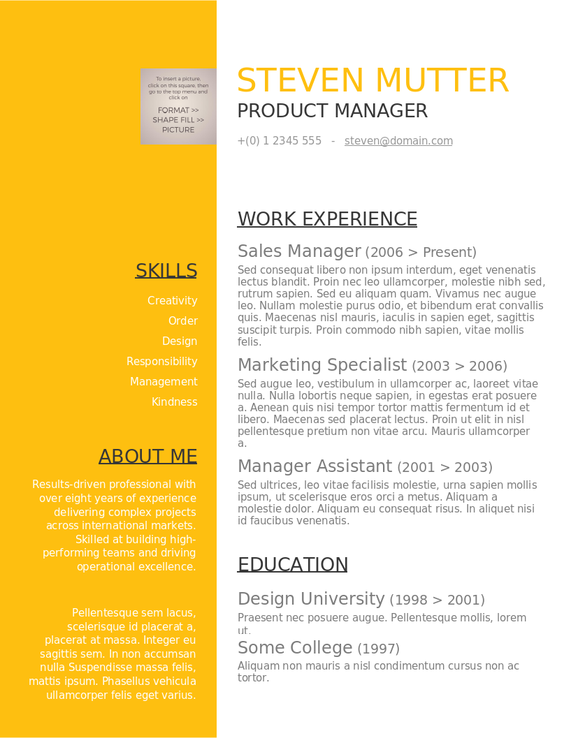 shiny Amber CV – Vorschau